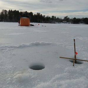 Meet your Posher, Nicholas
